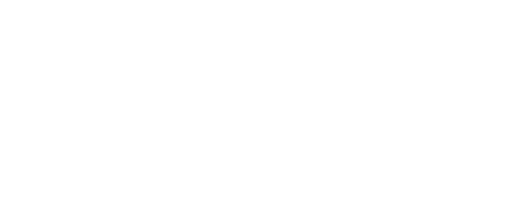 stroka.si
